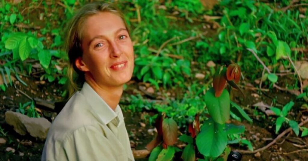 Jane Goodall Primatologist and anthropologist
