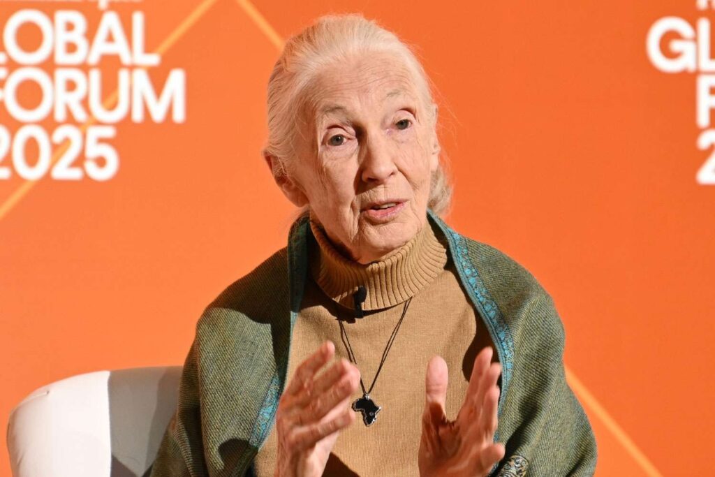Jane Goodall, primate expert and wildlife advocate, dies at 91