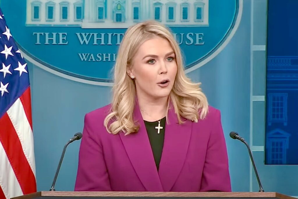 'Trump wants action, not just talk…': Leavitt says Putin