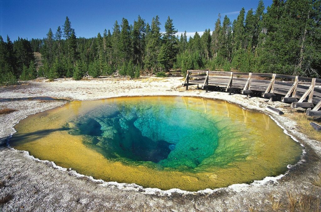 wild nature by yellowstone national park usa