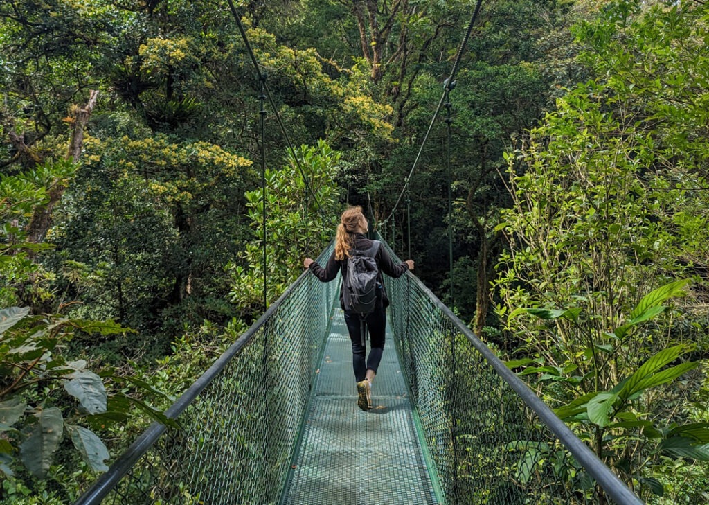 Best Eco-Tourism Activities Around the World (2025 Guide)