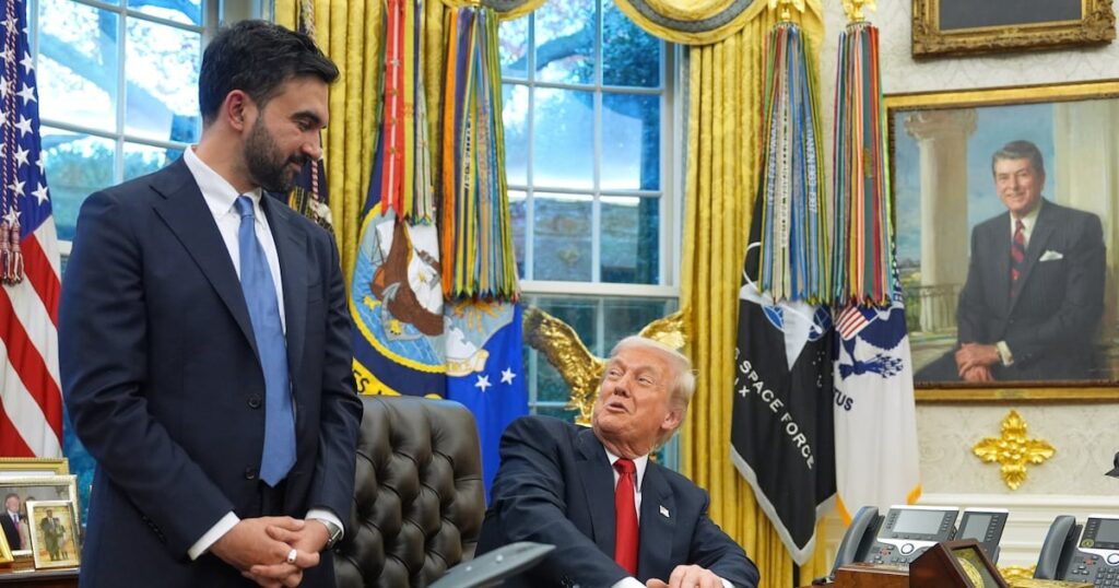 US President Donald Trump met New York City's newly elected mayor Zohran Mamdani at the White House